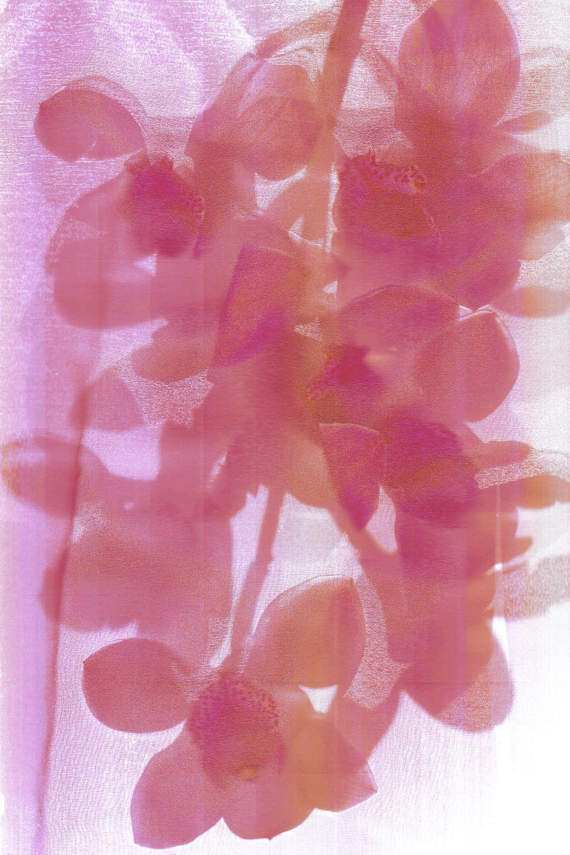 Debunking Myths About Face Yoga