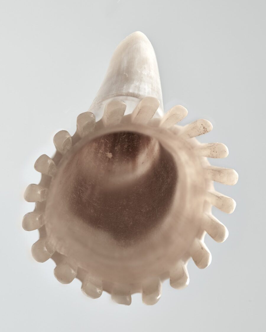 HEAD IN THE CLOUDS SCALP GUA SHA